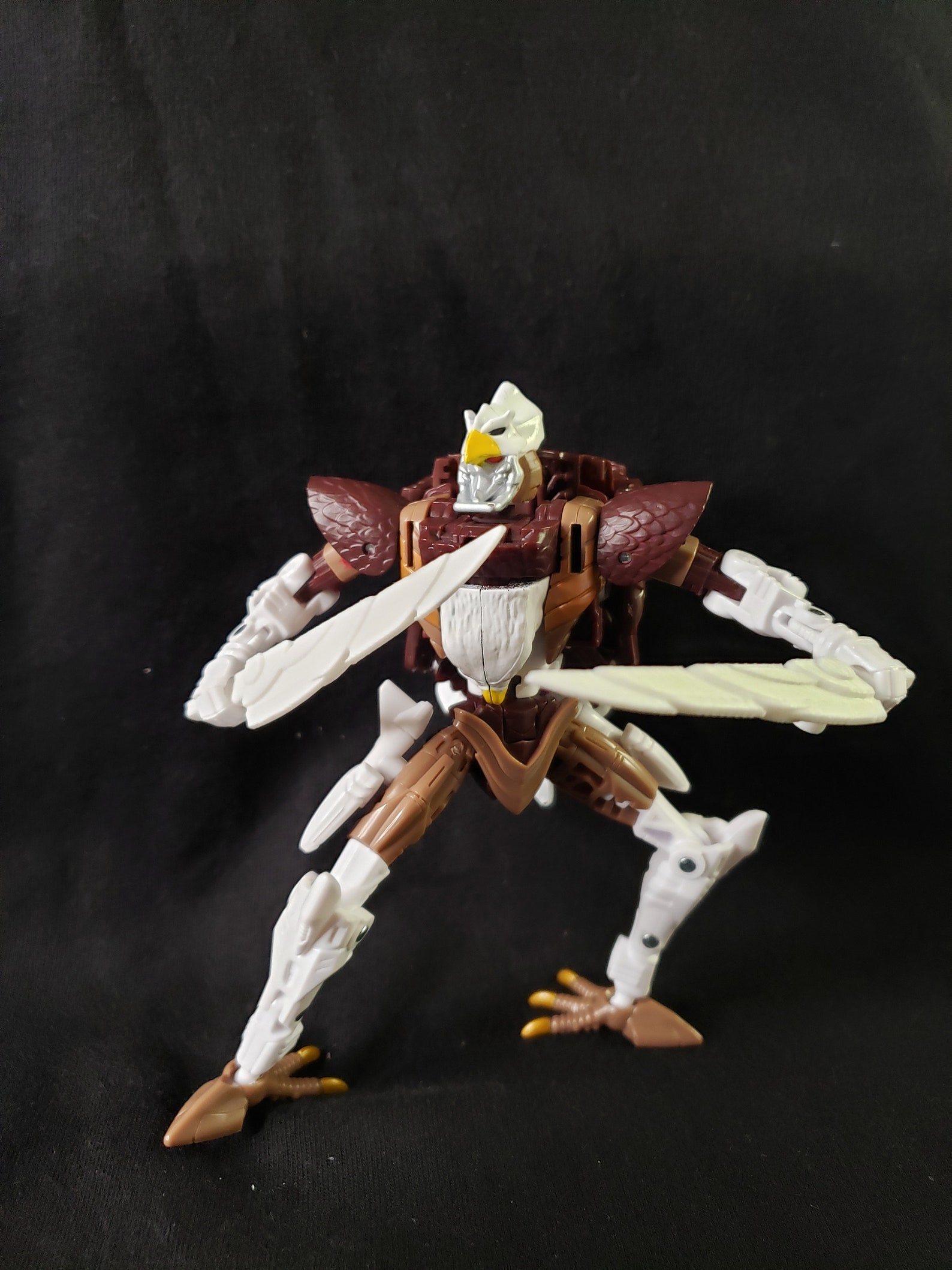 Maximal Skywarp Transformers Beast Wars Kingdom WFCK42 War Etsy