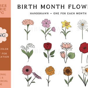 Birth Month Flower Png Bundle, Wildflower Png, Flower Clipart, Birthday Flower Png, Birth Flower Png, Mother&#39;s Day Png for Sublimation