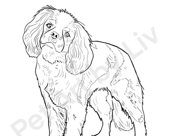 Cavalier Coloring - Etsy