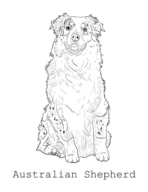 Australian Shepherd Coloring Page - Etsy