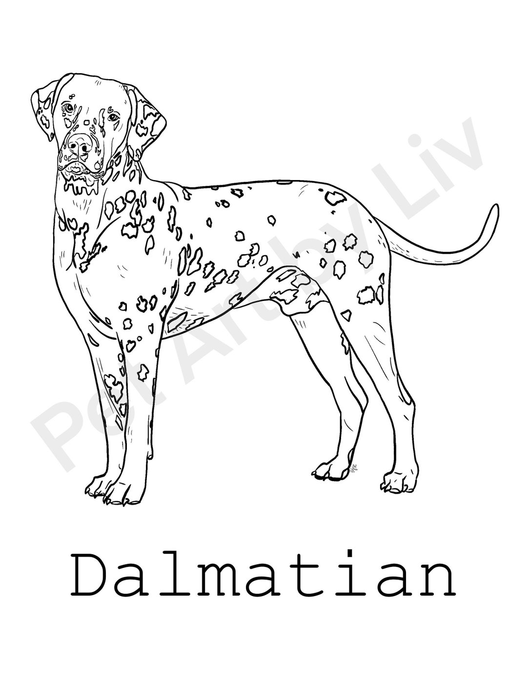 Dalmatian Coloring Page - Etsy