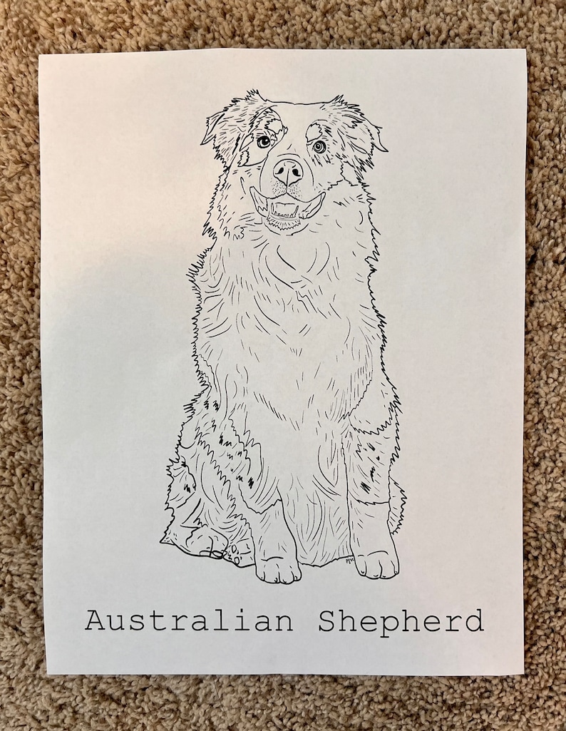 Australian Shepherd Coloring Page - Etsy