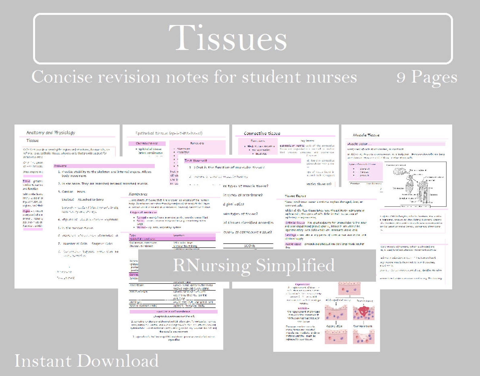 Tissue Revision notes nursing and healthcare student Etsy