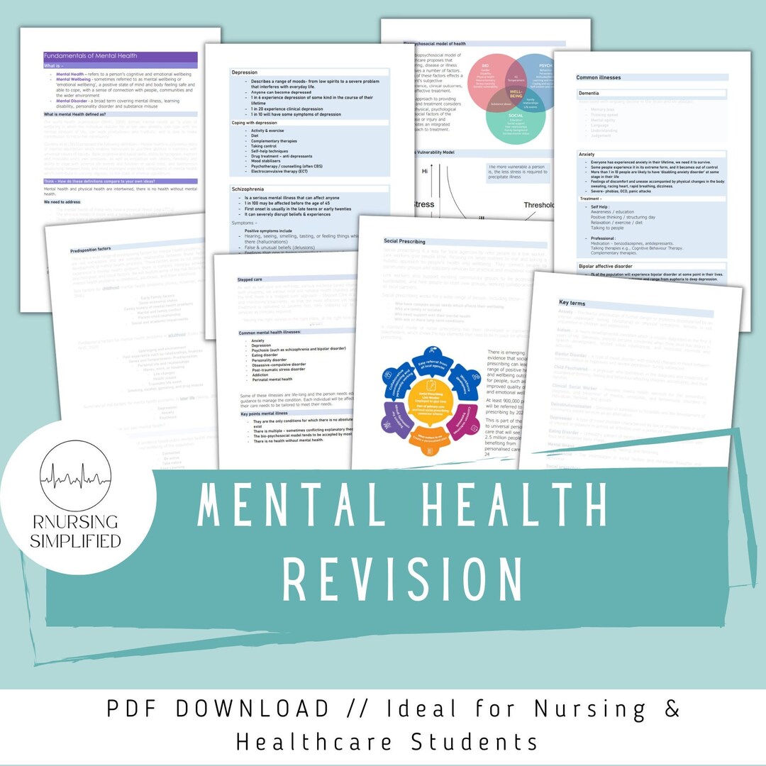 Nursing Mental Health Fundamentals. Revision Notes - Etsy