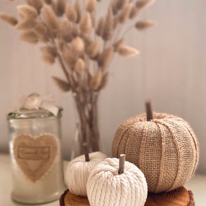 Set of three neutral pumpkin decorations