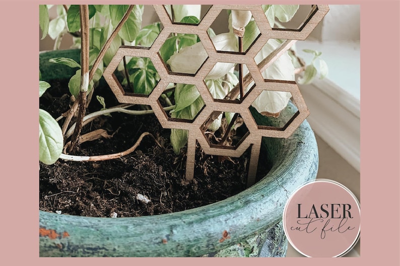 Op de afbeelding: Een houten plantensteun in honingraatvorm in een terracotta pot met een groene plant die erin groeit. De steun is lasergesneden en heeft een natuurlijke houtkleur. De tekst "LASER cut file" is zichtbaar in de rechterbenedenhoek van de afbeelding.