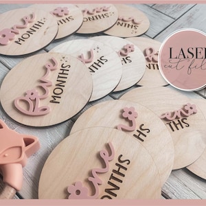 Baby Milestone Layered svg, Baby Announcement Photo Prop svg, Birth Stats svg, Newborn Announcement svg, New Baby svg, Glowforge svg