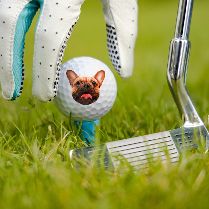 May include: A white golf ball with a picture of a French bulldog's face on it. The ball is sitting on a tee and a golf club is in the background.