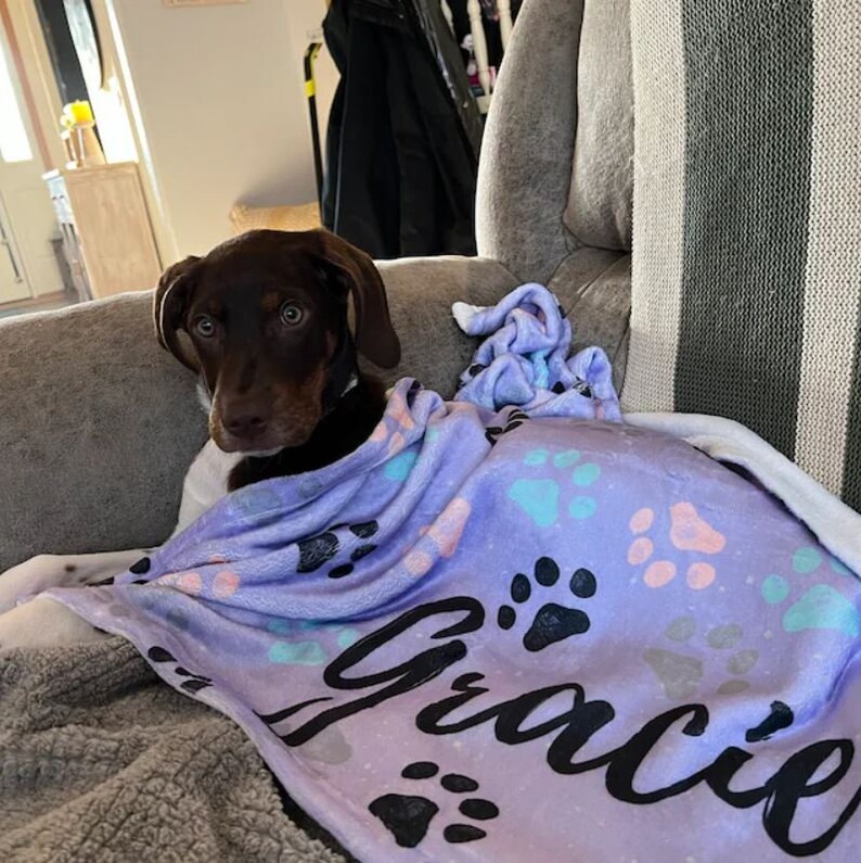May include: A brown and white dog with brown eyes is curled up on a purple blanket with paw prints and the name "Grace" written on it.