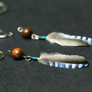 Single feather earrings Men Hoop earrings hypoallergenic studs Men earrings Real feather earrings Small earrings Stainless steel hoops gift