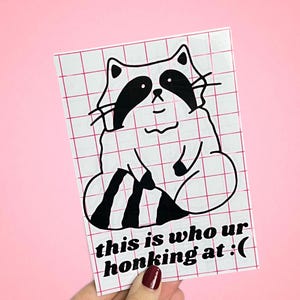 May include: A sticker with a cartoon raccoon design in black and white, set against a grid pattern. The text "this is who ur honking at :(" is printed below. The sticker is held against a pink backdrop.