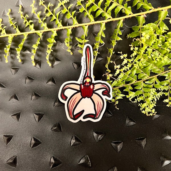 Adhesivo de vinilo transparente resistente al agua con orquídea araña de invierno