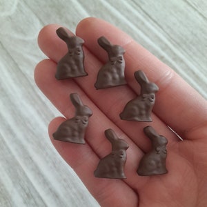 May include: Six miniature chocolate-colored bunny figurines, each with a bow tie, are arranged in a hand. The bunnies are for a dollhouse and are not real chocolate. The text on the image reads: "6 pcs dollhouse chocolate bunnies (NOT REAL CHOCOLATE)".