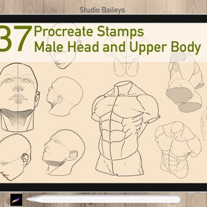37 Procreate Male Head Referenzstempel, Figur-Führungsstempel, männliche Zeichnungsanleitung, Procreate Anime Man in verschiedenen Winkeln, kommerzielle Nutzung