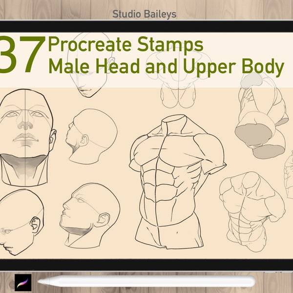 37 Procreate Male Head Reference Stamps, tampons de guide de figure, Guide de dessin masculin, Procreate Anime Man sous différents angles, Utilisation commerciale