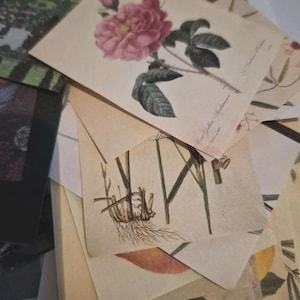 May include: A collection of botanical art prints featuring detailed illustrations of flowers and plants. The prints showcase a variety of floral and plant life, with a focus on the intricate details of each specimen. The color palette includes shades of pink, green, and beige.