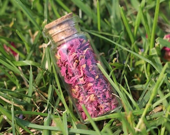 May include: A small glass bottle with a cork stopper filled with dried pink flower petals, sitting on a bed of green grass.
