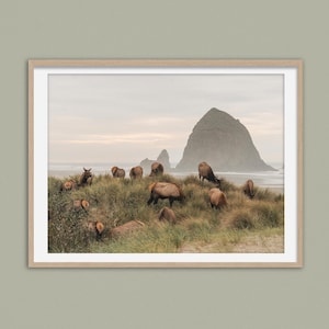 May include: A framed print featuring a coastal landscape with a herd of elk grazing on a grassy dune. The elk have brown fur and are set against a backdrop of a rocky island and a cloudy sky. The print is in a light wood frame.