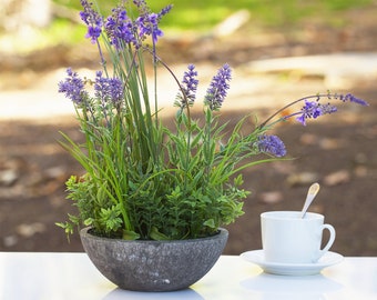 Enova Floral Artificial Lavender Flower with Greenery in Pot Realistic Plastic Lavender For Home Garden Decoration