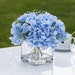 see more listings in the Hydrangea section