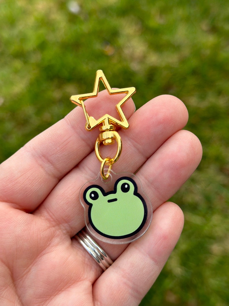 awkward frog keychain, acrylic keychains, cute frog keychain