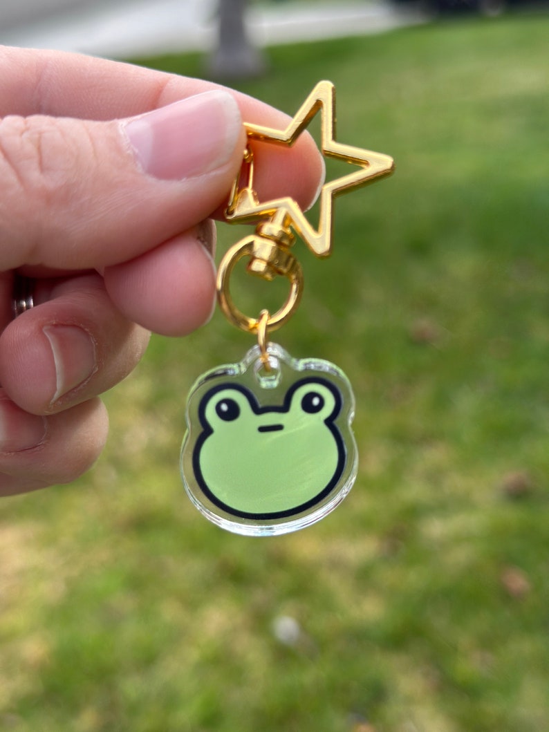 Awkward Frog Acrylic Keychain, Kawaii Frog Keychain image 3