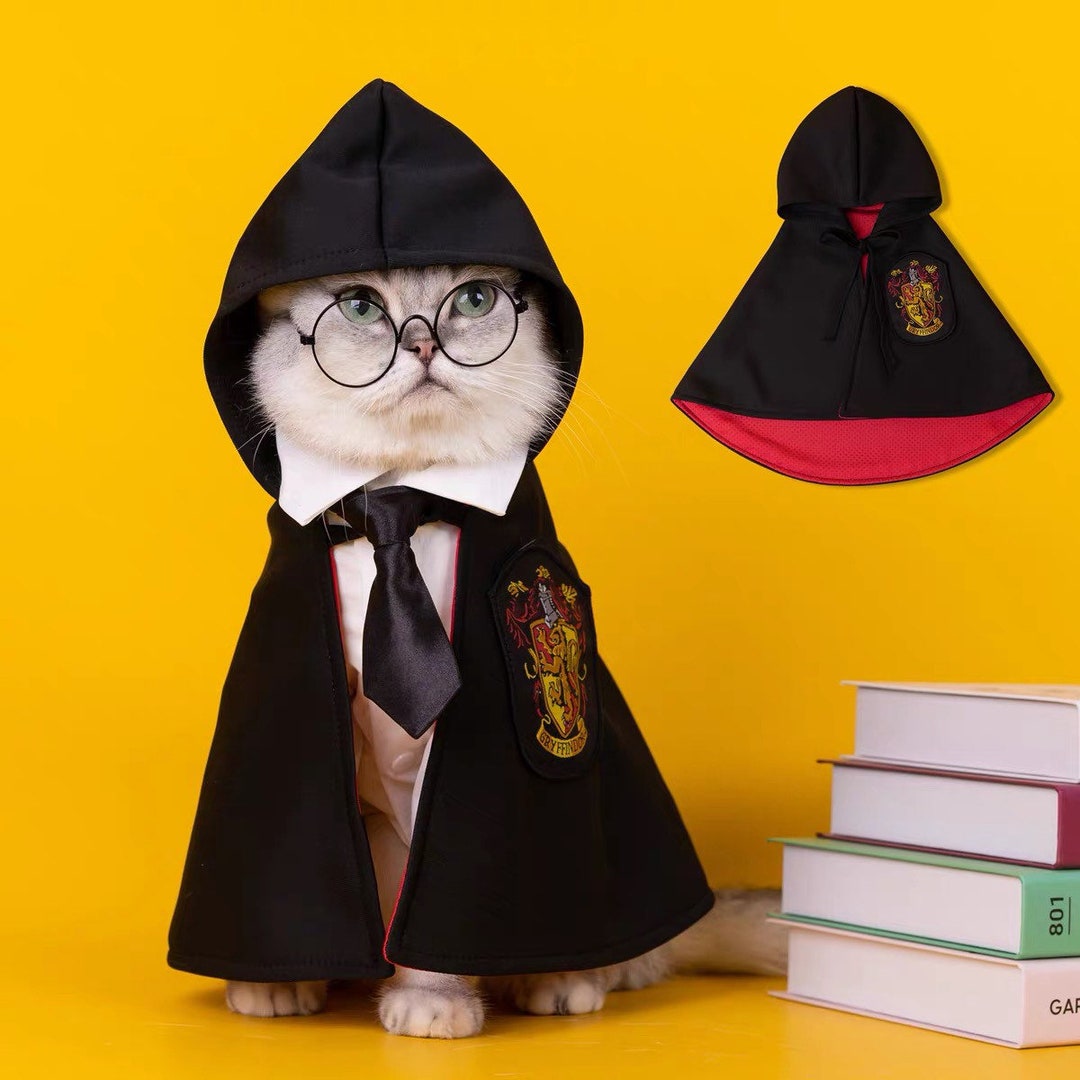 Costume da Mago (tipo Harry Potter Grifondoro) - Halloween e Carnevale –  cgEdù - Centro Gioco Educativo