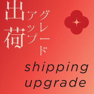Shipping Upgrade