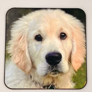 Photograph Coaster and Photo Mug Set