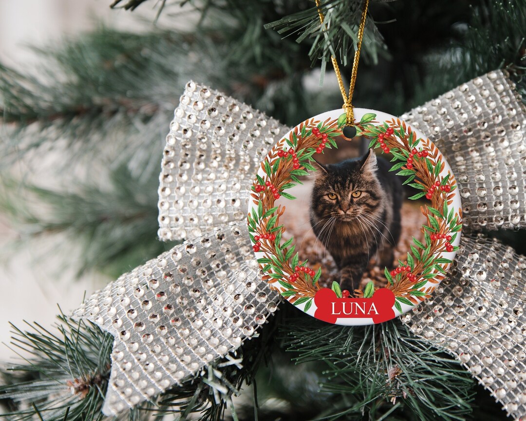 Personalized Pet Ornament With Name, Custom Dog Christmas Ornament ...