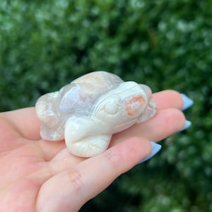 Flower agate frog
