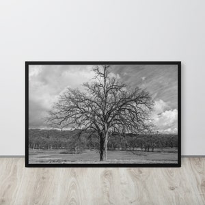 Lone Tree Framed Print: Black and White Landscape Photography