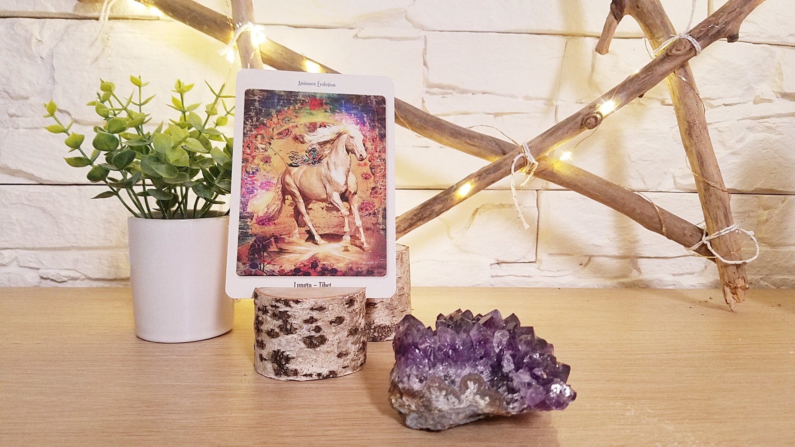 Porte Cartes de Visite - d'oracle en Bouleau