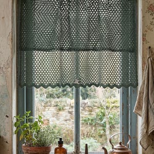 Puede incluir: Un visillo de encaje verde oscuro cuelga sobre una ventana. El alféizar de la ventana contiene una planta en maceta, una botella de jabón para platos, un embudo, una tetera de cobre y una pila de platos. El marco de la ventana está pintado de azul.