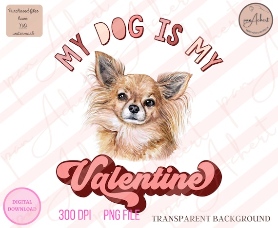 My Chihuahua Is My Valentine My Chihuahua Is My Valentine
