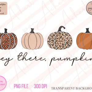 May include: Four pumpkins with different patterns and colors. The pumpkins are arranged in a row. The first pumpkin is brown with a leopard print, the second is beige, the third is brown with a leopard print, and the fourth is orange. The text "hey there, pumpkin" is written below the pumpkins.