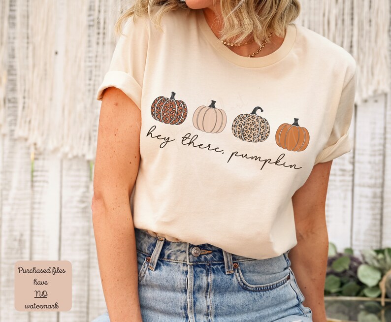 May include: A beige t-shirt with a graphic of four pumpkins. The pumpkins are in a row and have different patterns. The text "hey there, pumpkin" is below the pumpkins.