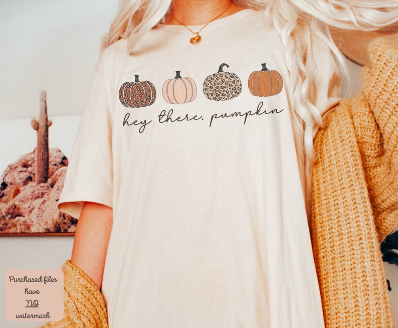 May include: A white t-shirt with a graphic of four pumpkins. The pumpkins are in a row and have different patterns. The text "hey there, pumpkin" is below the pumpkins.