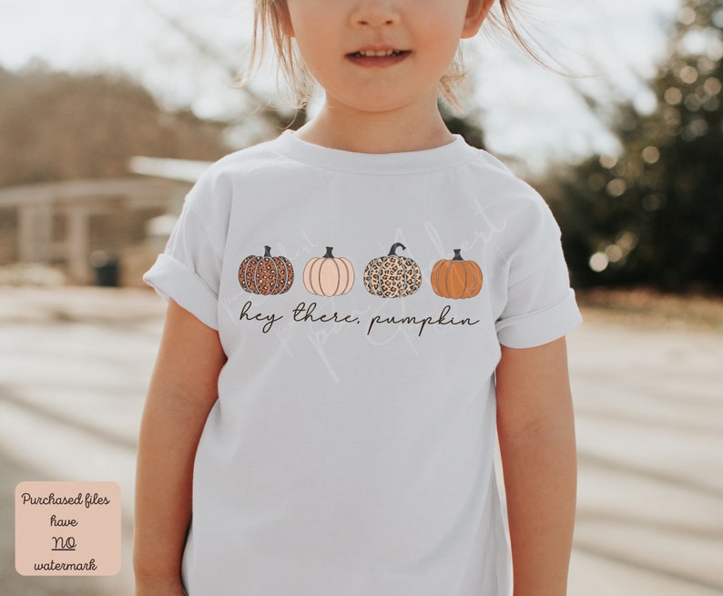 May include: White t-shirt with a graphic of four pumpkins in a row. The pumpkins are orange, pink, and brown with a leopard print. The text "hey there, pumpkin" is below the pumpkins.