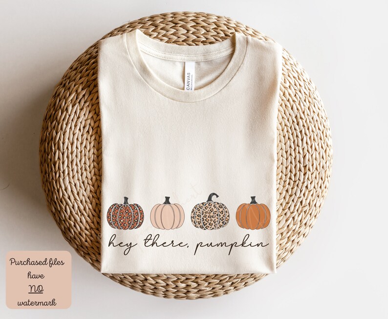 May include: A beige t-shirt with the text "hey there, pumpkin" and four pumpkins in a row. The pumpkins are orange, peach, and leopard print.