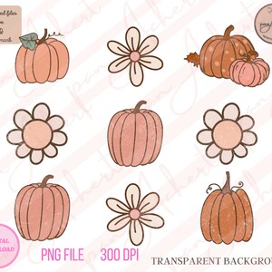 Op de afbeelding: Een set van zes digitale illustraties met pompoenen en madeliefjes. De pompoenen zijn oranje en bruin met een textuur. De madeliefjes zijn wit met een roze hart. De illustraties hebben een transparante achtergrond.