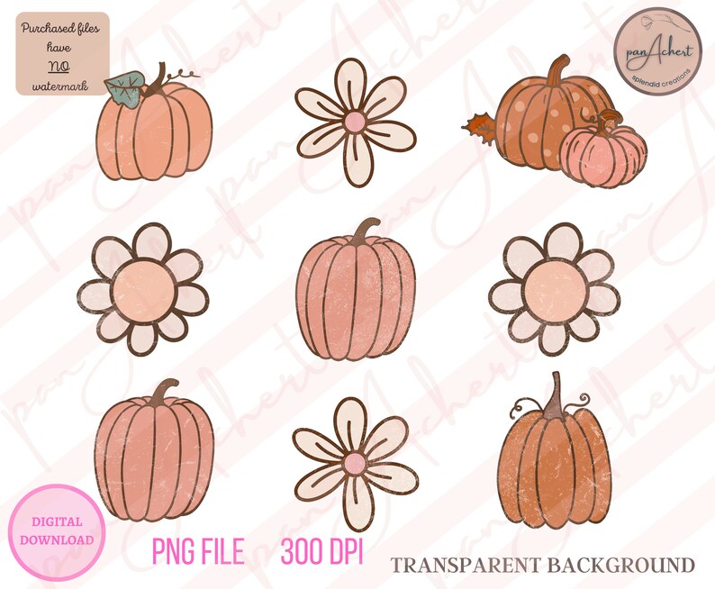 Op de afbeelding: Een set van zes digitale illustraties met pompoenen en madeliefjes. De pompoenen zijn oranje en bruin met een textuur. De madeliefjes zijn wit met een roze hart. De illustraties hebben een transparante achtergrond.