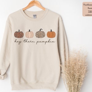May include: A beige sweatshirt with a graphic of four pumpkins in a row. The pumpkins are orange, peach, and brown with a leopard print. The text "hey there, pumpkin" is printed below the pumpkins.