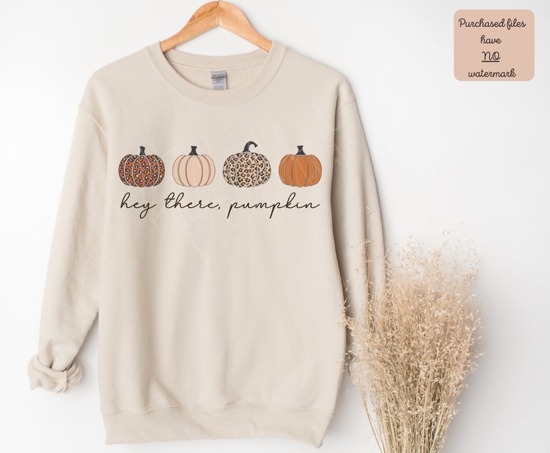 May include: A beige sweatshirt with a graphic of four pumpkins in a row. The pumpkins are orange, peach, and brown with a leopard print. The text "hey there, pumpkin" is printed below the pumpkins.