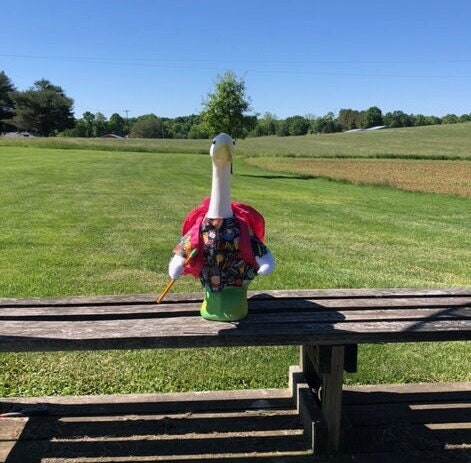 Learning and Growing Back to School Outfit for 23-28 Inch (Large) Concrete or Plastic Lawn Goose/Duck