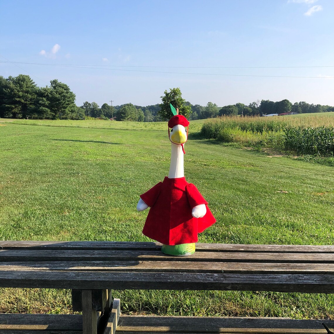 Traje de manzana para 24 Grande hormigón o plástico | Etsy