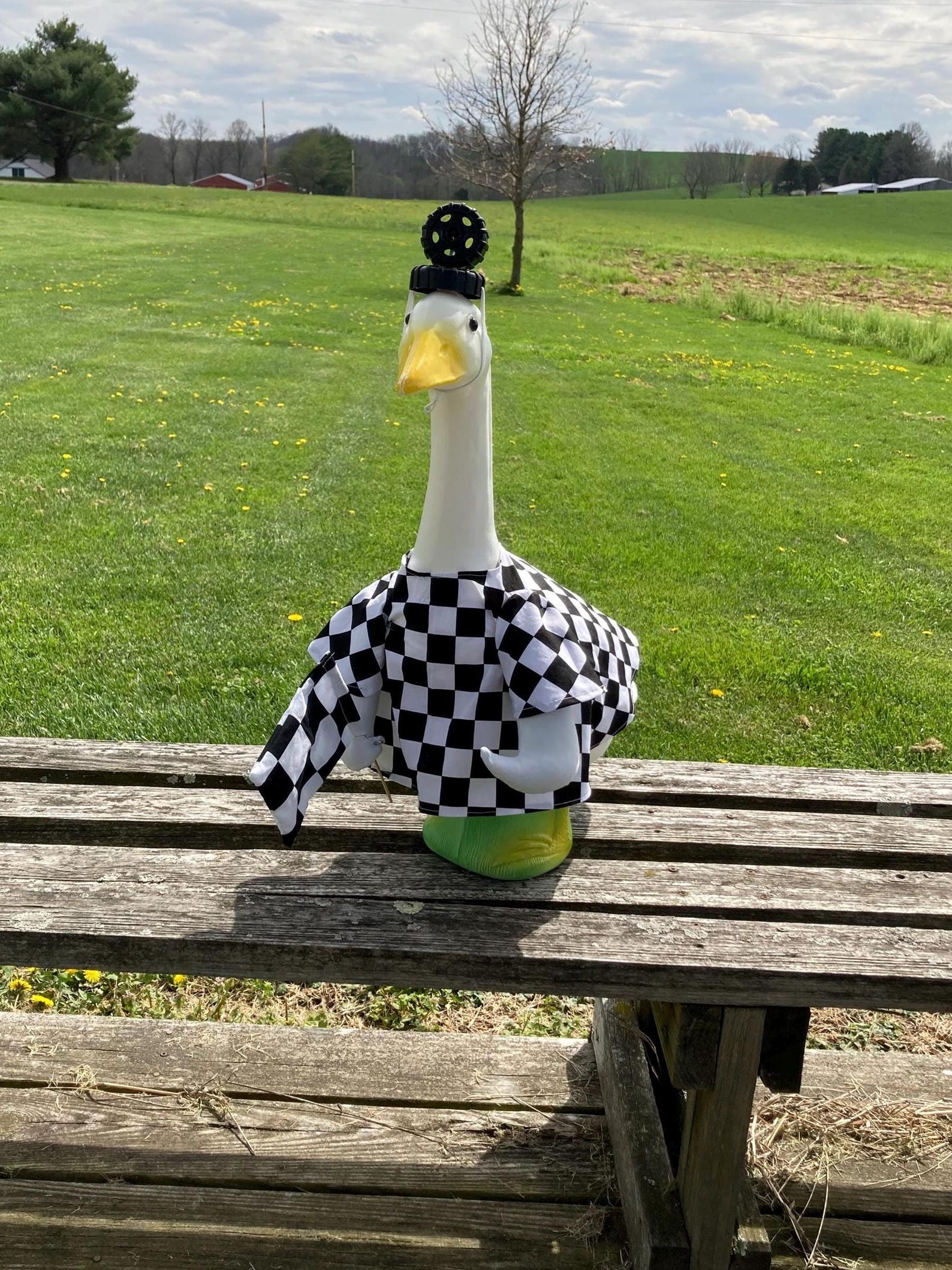 Porch Goose Outfit, Racer Costume (Indy 500)