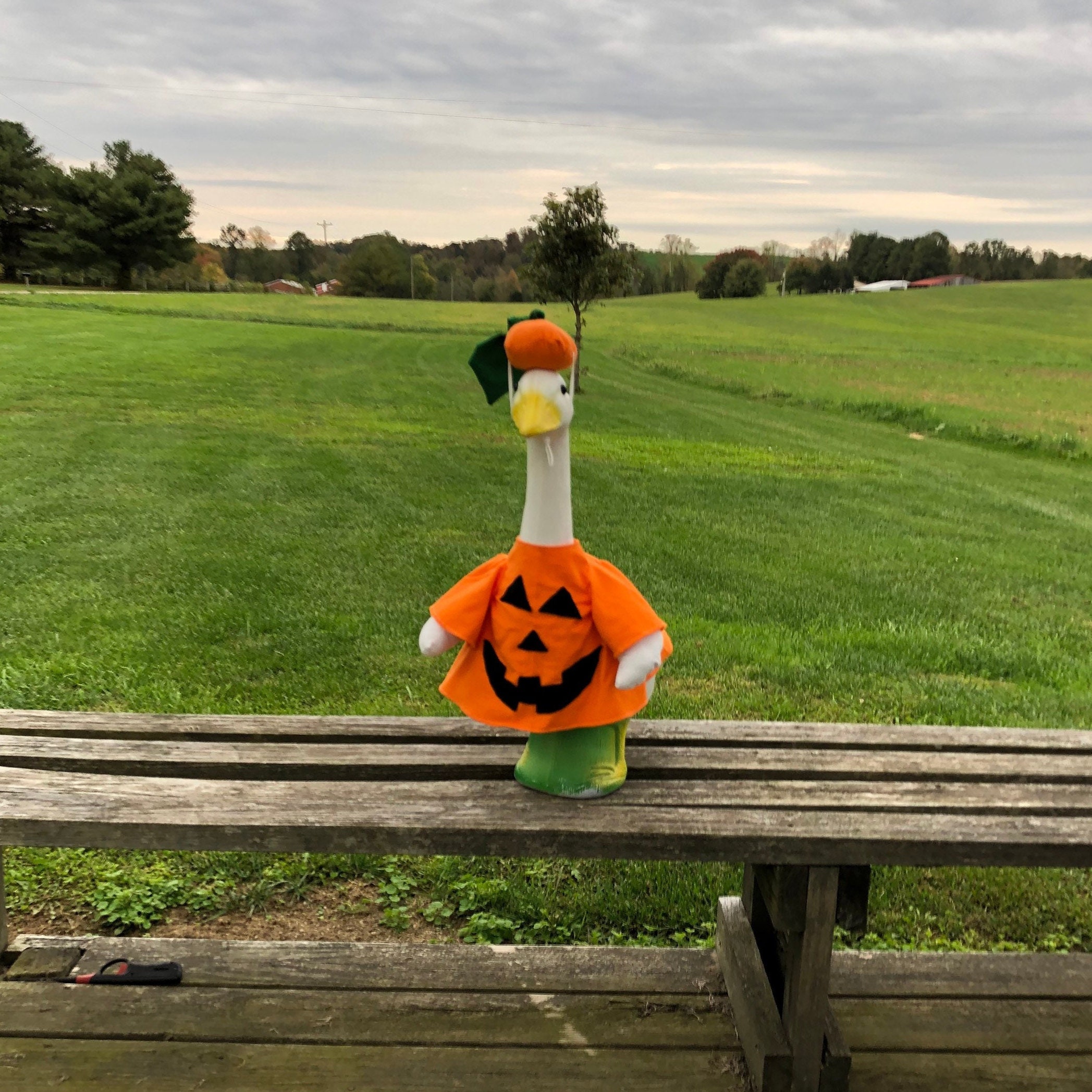 Jack o Lantern Costume Outfit for 23-28 Inch (Large) Concrete or Plastic Lawn Goose/Duck