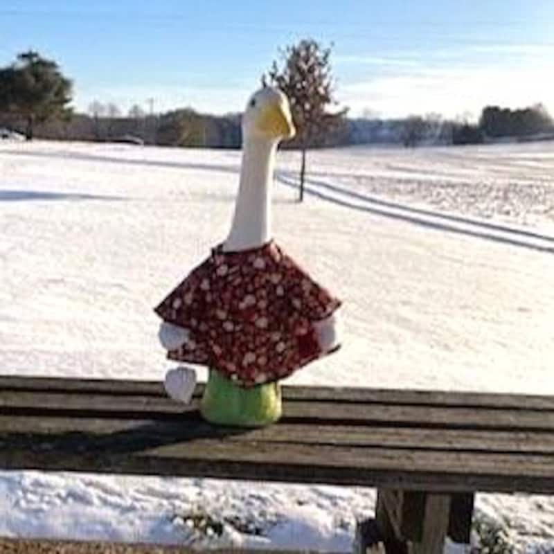 Garden Box Outfits - Etsy