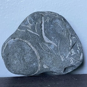 May include: A gray, rounded stone featuring visible white fossilized inclusions and intricate, naturally occurring vein-like patterns across its textured surface. The rock has an irregular, organic shape with a smooth yet weathered appearance.